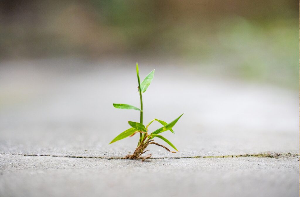 Perseverance - Your Secret Weapon
