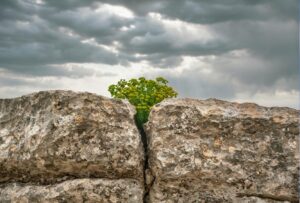 Resilience - The Art of the Bounce